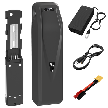 Ebike Battery 36V/48V/52V Hailong 03 Electric Lithium-ion Bike Battery with Charger for 250W- 1500W Moto