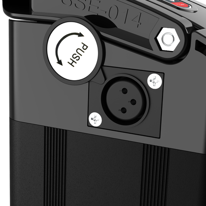 48/36V Silver Fish E-Bike Battery Lithium 200W 400W 500W 600W 750W 1000W Motor with Charger for Mountain Bike Electric Pedelec
